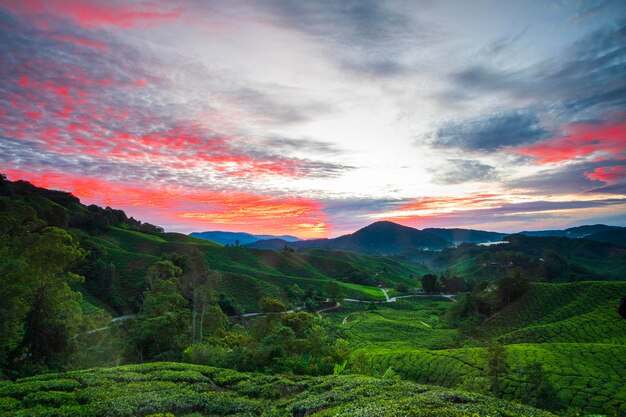 Photo scenic view of landscape against sky during sunset