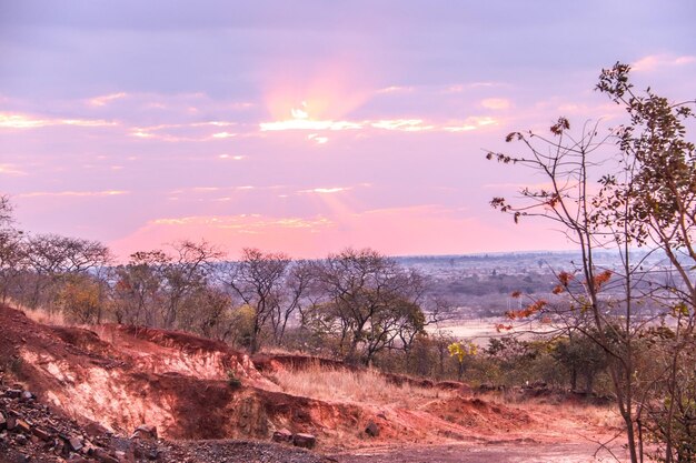 Scenic view of landscape against sky during sunset