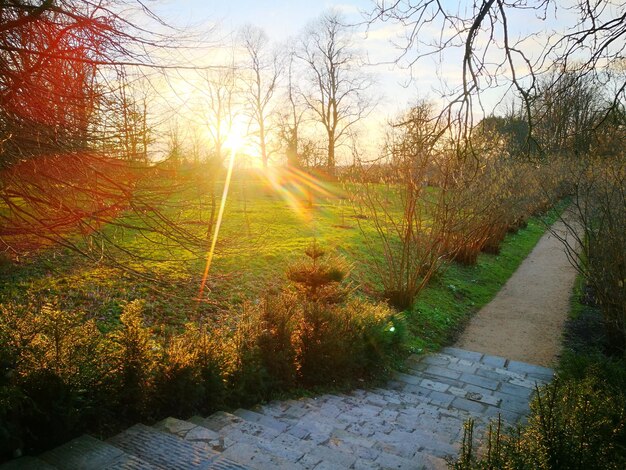 Scenic view of landscape against sky during sunset