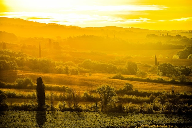 Scenic view of landscape against sky during sunset