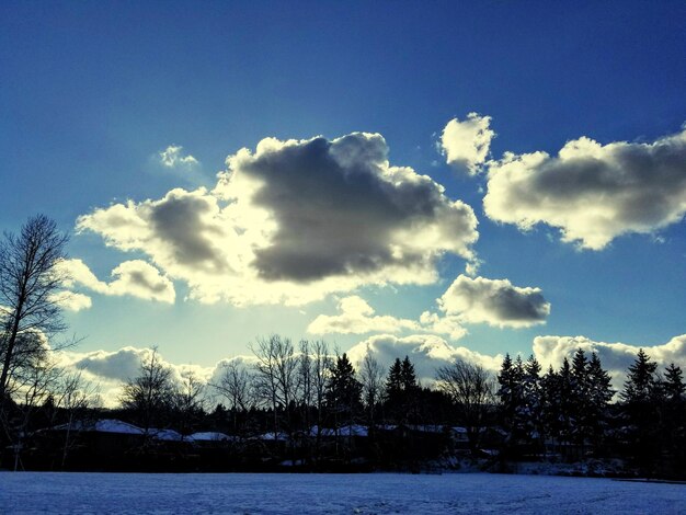 Scenic view of landscape against sky during winter