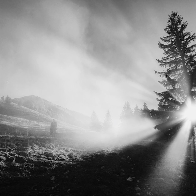 Scenic view of landscape against sky during foggy weather