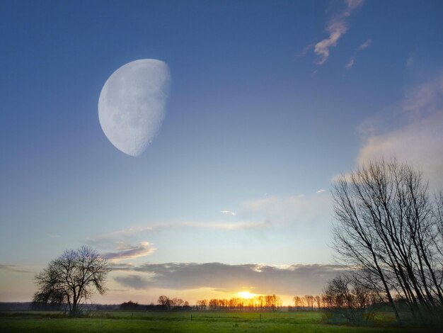 Scenic view of landscape against sky at night