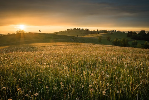 Scenic view of landscape against sky during sunset