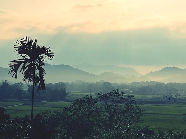 Scenic view of landscape against sky during sunset