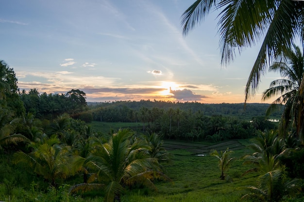 Scenic view of landscape against sky during sunset
