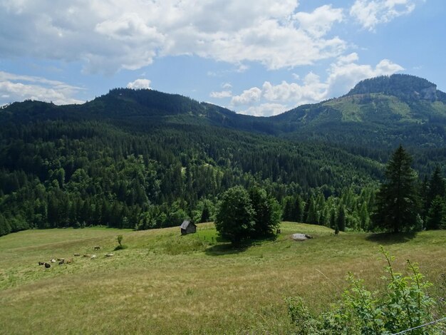 Photo scenic view of landscape against sky