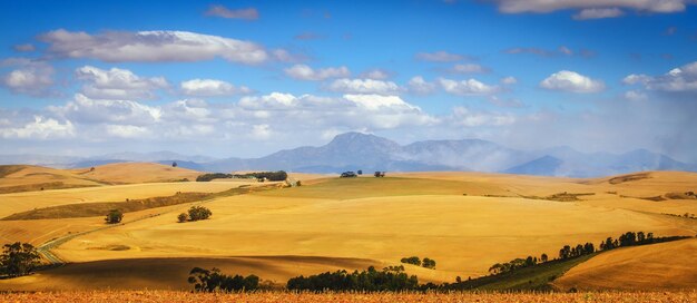 Foto vista panoramica del paesaggio contro il cielo