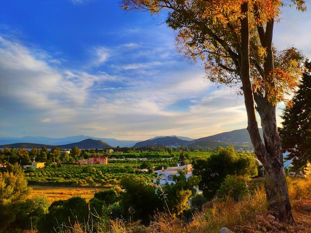 Scenic view of landscape against sky