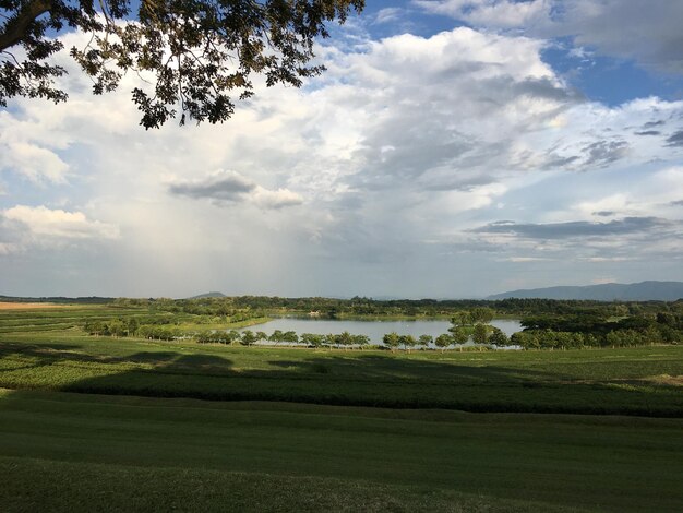 Scenic view of landscape against sky