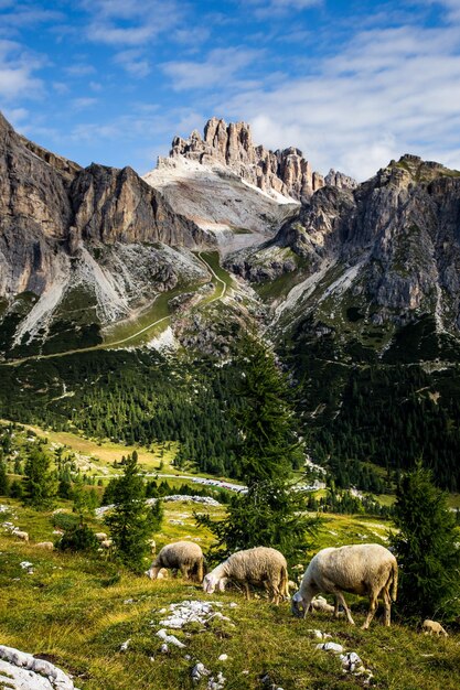 Photo scenic view of landscape against sky