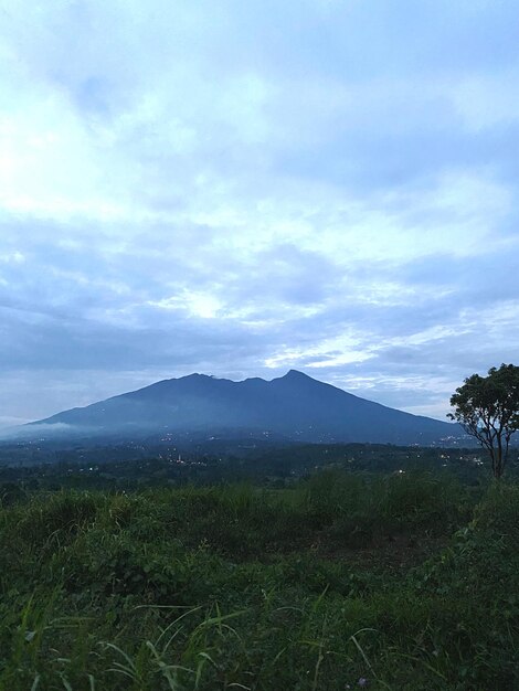 Scenic view of landscape against sky