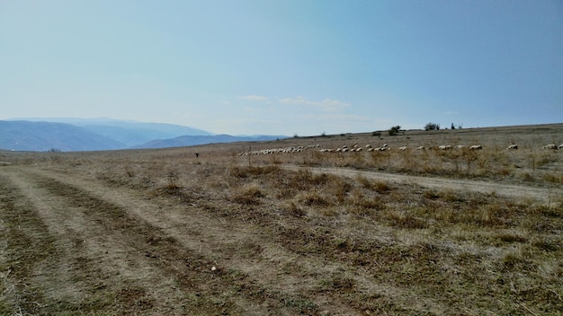 Foto vista panoramica del paesaggio contro il cielo