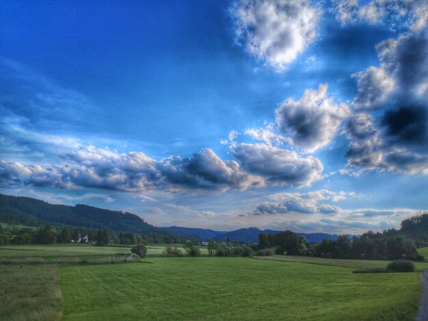 Scenic view of landscape against sky