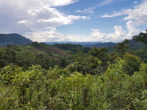 Foto vista panoramica del paesaggio contro il cielo