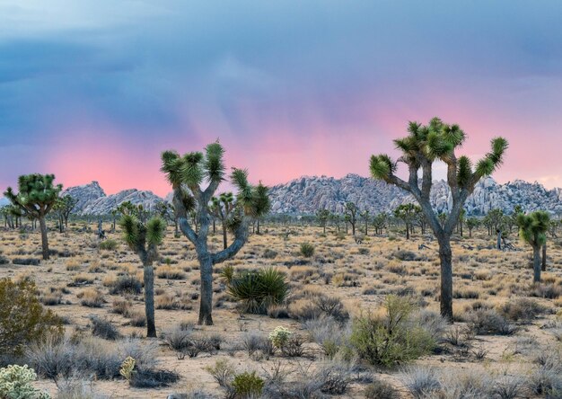 Photo scenic view of landscape against sky