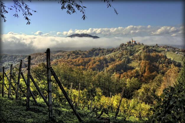 Photo scenic view of landscape against sky