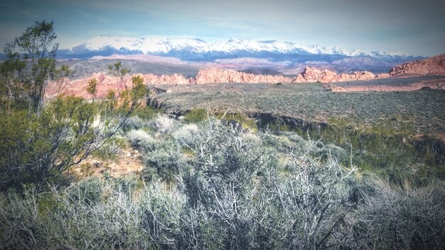 Scenic view of landscape against sky