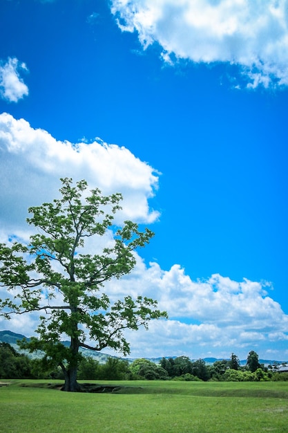 Photo scenic view of landscape against sky