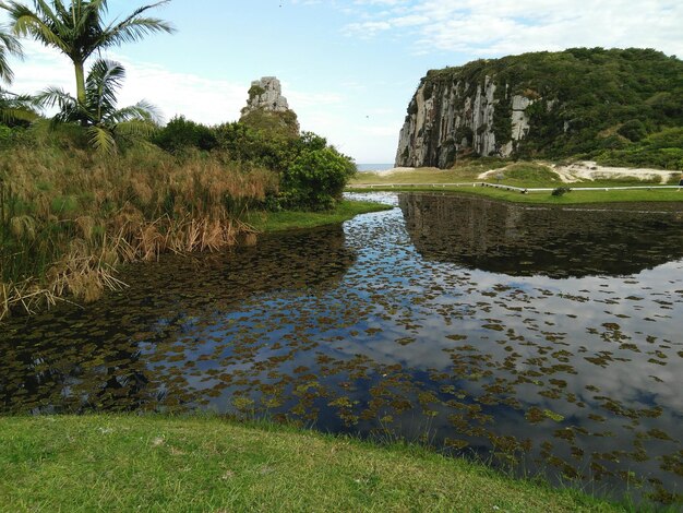 Scenic view of landscape against sky