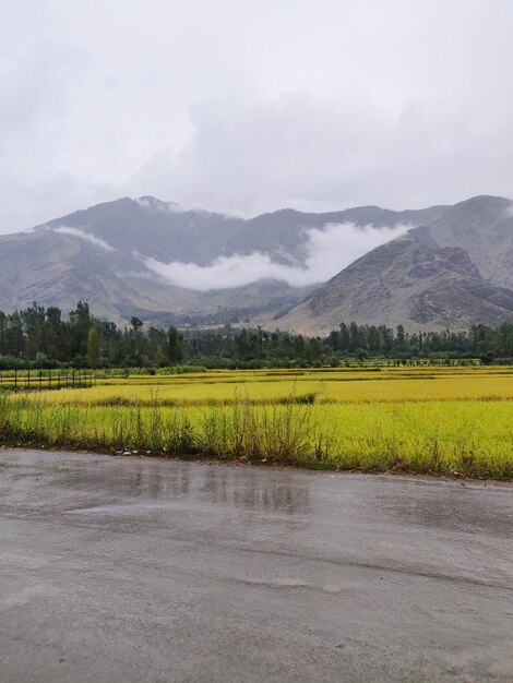 Scenic view of landscape against sky