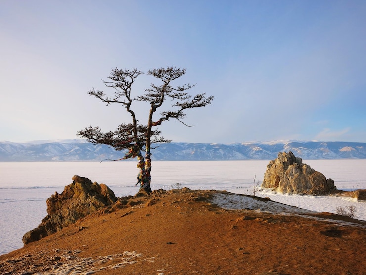 Фотография сценный вид на пейзаж на фоне неба