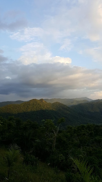 天空を背景にした景色の景色