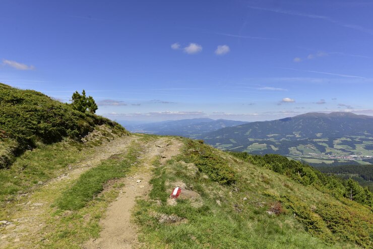 Photo 空に照らされた風景の景色