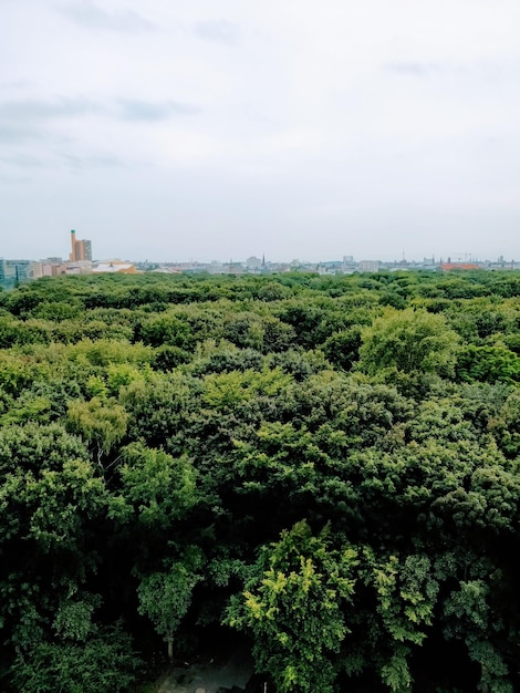 空を背景とした風景の美しい景色