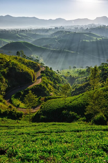 Photo scenic view of landscape against sky