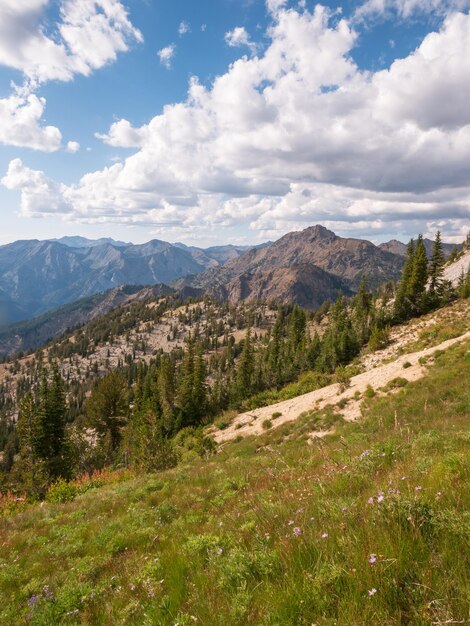 Photo scenic view of landscape against sky