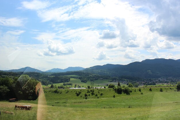 Scenic view of landscape against sky