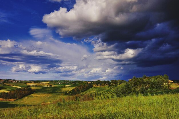 Scenic view of landscape against sky