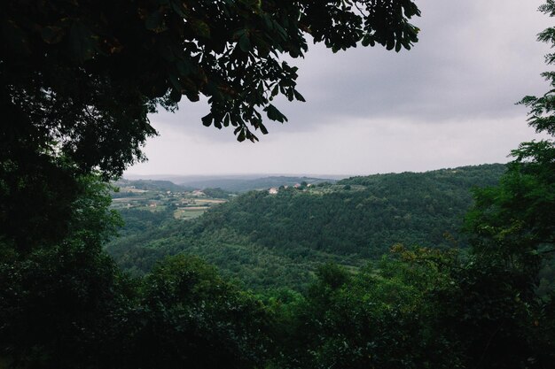 Photo scenic view of landscape against sky