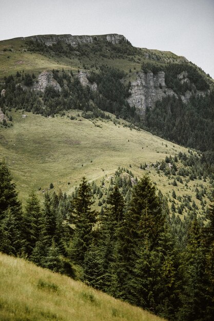 Foto vista panoramica del paesaggio contro il cielo