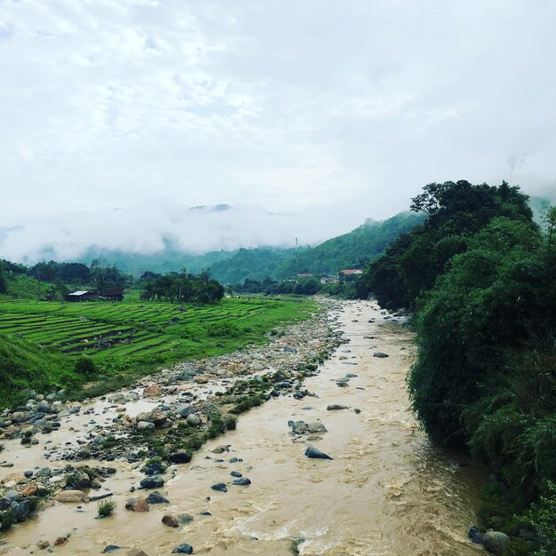 Scenic view of landscape against sky