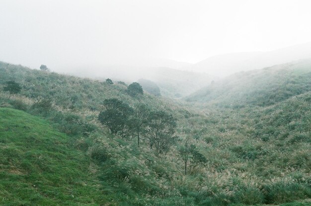 Scenic view of landscape during rainy season