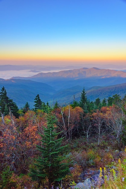 Photo scenic view of landscape during sunset