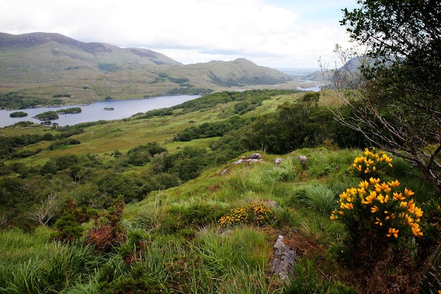 アイルランドからの景色の景色