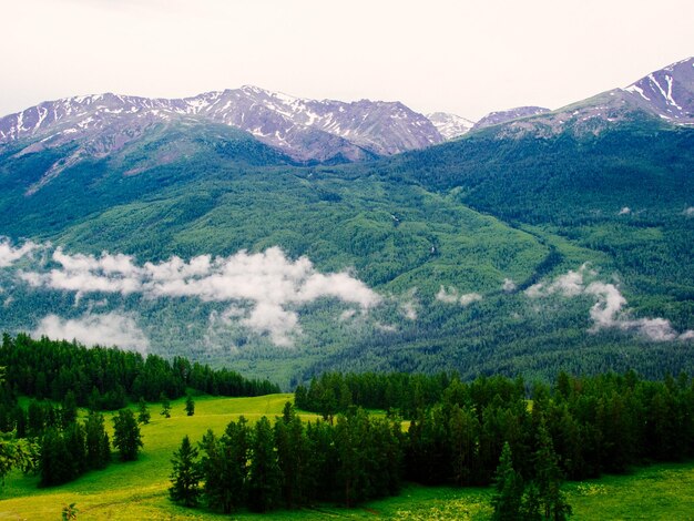 Scenic view of landscape and mountains against sky