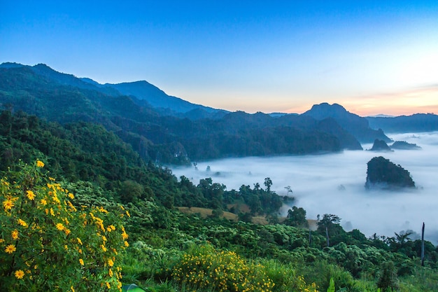 Scenic view of landscape and mountains against sky