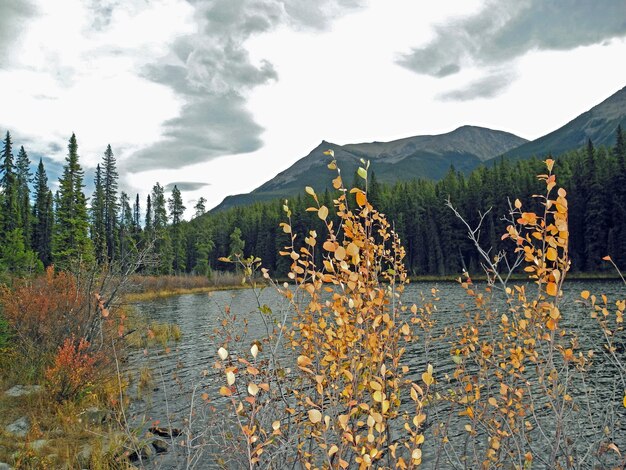 Photo scenic view of landscape and mountains against sky