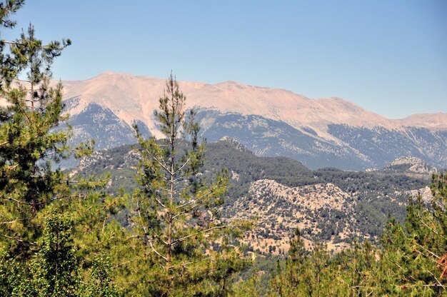 Photo scenic view of landscape and mountains against sky