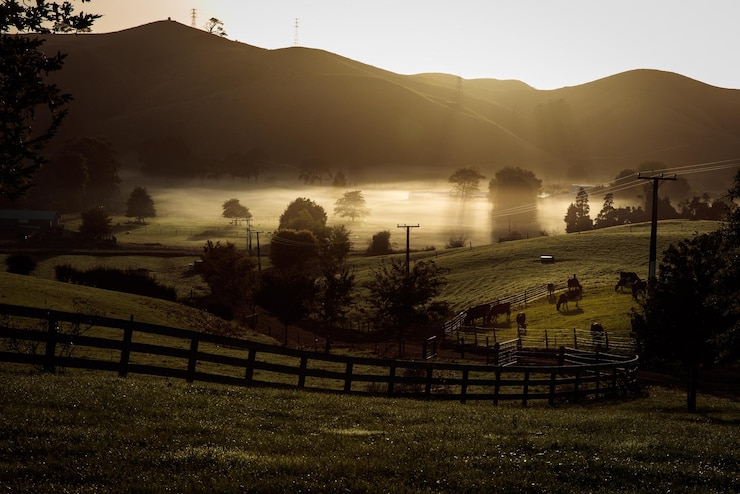 Photo scenic view of landscape during sunrise