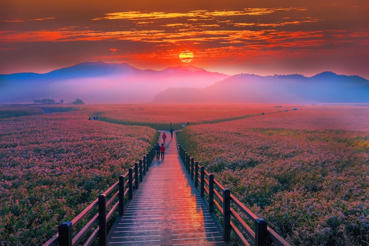 Photo scenic view of landscape during sunrise