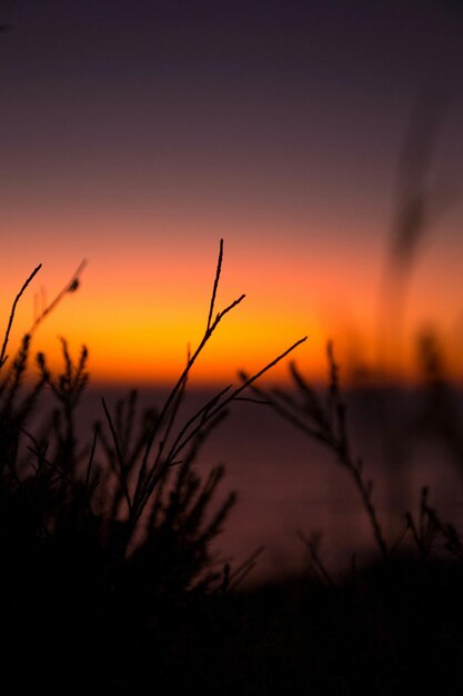 Photo scenic view of landscape at sunset