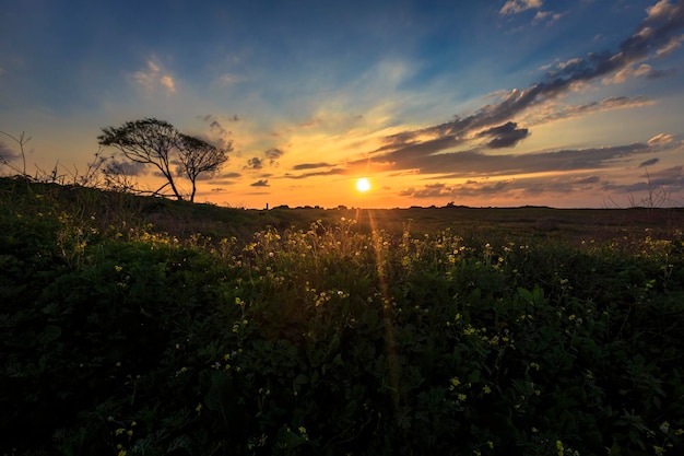 夕暮れ の 景色