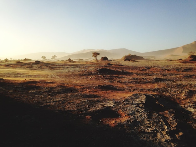 scenic view of landscape