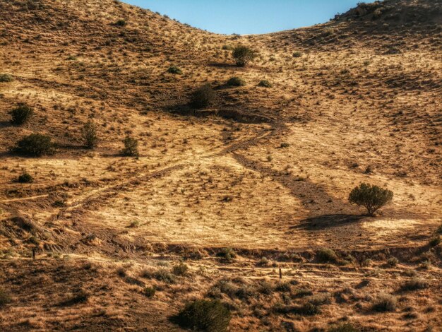 Scenic view of landscape