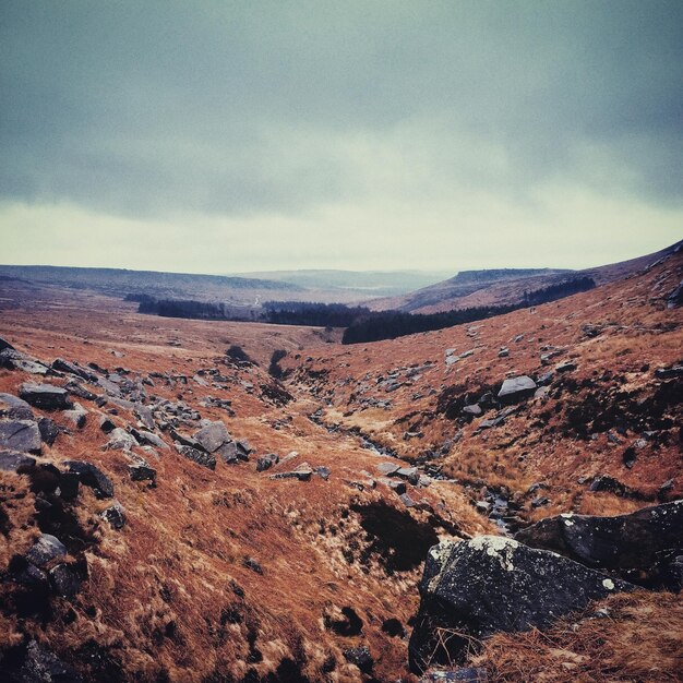 Scenic view of landscape